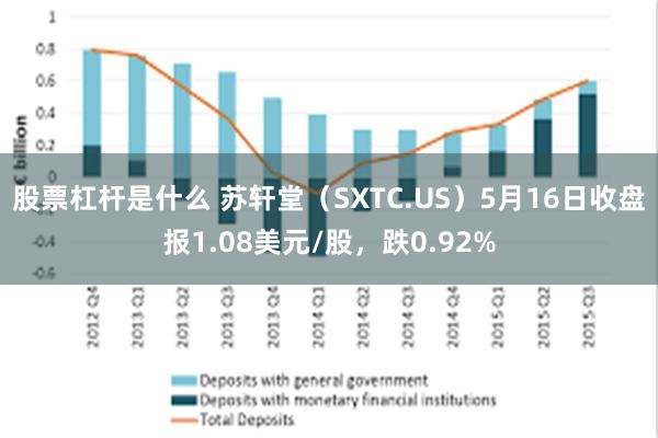 股票杠杆是什么 苏轩堂（SXTC.US）5月16日收盘报1.08美元/股，跌0.92%