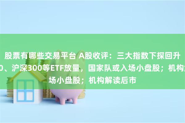 股票有哪些交易平台 A股收评：三大指数下探回升，上证50、沪深300等ETF放量，国家队或入场小盘股；机构解读后市