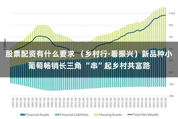 股票配资有什么要求 （乡村行·看振兴）新品种小葡萄畅销长三角 “串”起乡村共富路