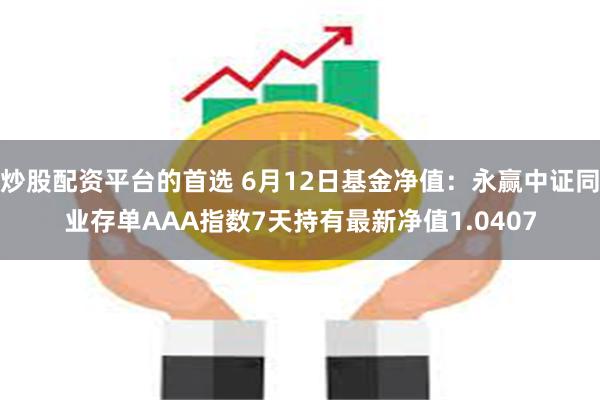 炒股配资平台的首选 6月12日基金净值：永赢中证同业存单AAA指数7天持有最新净值1.0407