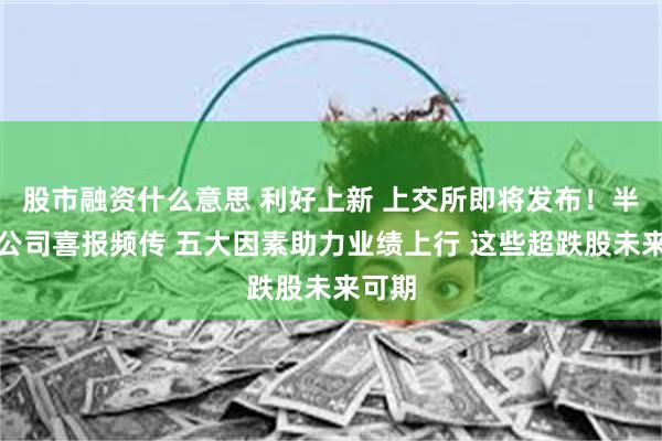 股市融资什么意思 利好上新 上交所即将发布！半导体公司喜报频传 五大因素助力业绩上行 这些超跌股未来可期