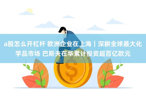 a股怎么开杠杆 欧洲企业在上海｜深耕全球最大化学品市场 巴斯夫在华累计投资超百亿欧元