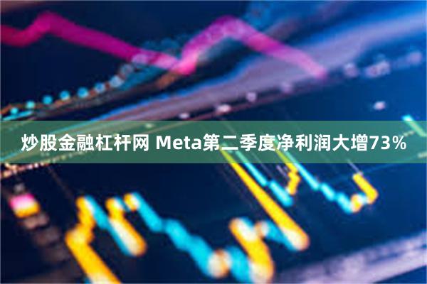 炒股金融杠杆网 Meta第二季度净利润大增73%