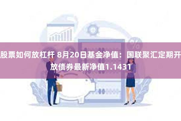 股票如何放杠杆 8月20日基金净值：国联聚汇定期开放债券最新净值1.1431