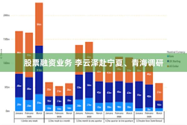 股票融资业务 李云泽赴宁夏、青海调研