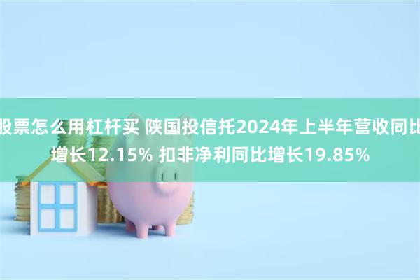 股票怎么用杠杆买 陕国投信托2024年上半年营收同比增长12.15% 扣非净利同比增长19.85%