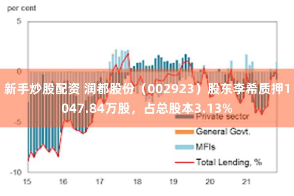 新手炒股配资 润都股份（002923）股东李希质押1047.84万股，占总股本3.13%