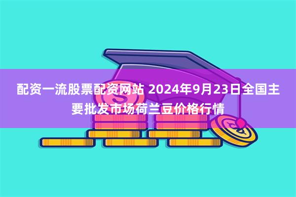 配资一流股票配资网站 2024年9月23日全国主要批发市场荷兰豆价格行情