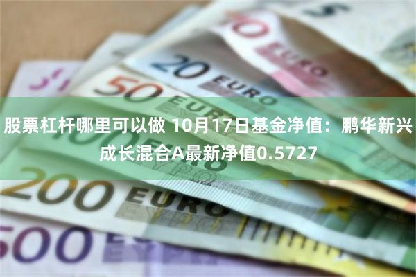 股票杠杆哪里可以做 10月17日基金净值：鹏华新兴成长混合A最新净值0.5727