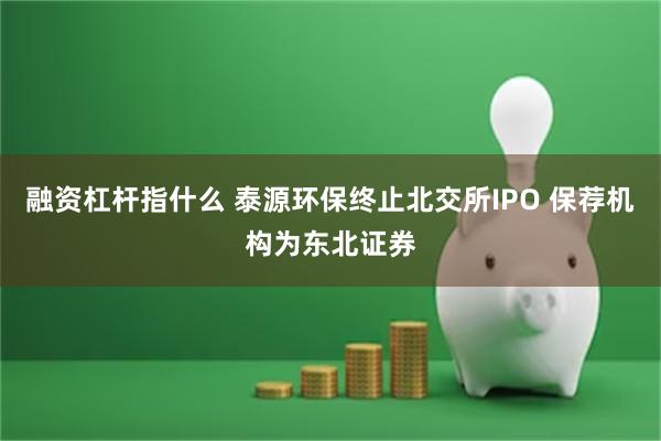 融资杠杆指什么 泰源环保终止北交所IPO 保荐机构为东北证券