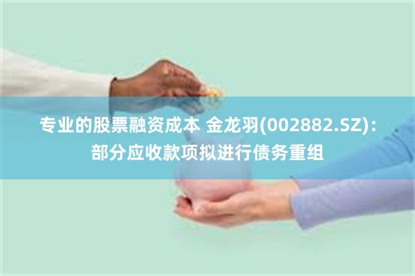 专业的股票融资成本 金龙羽(002882.SZ)：部分应收款项拟进行债务重组