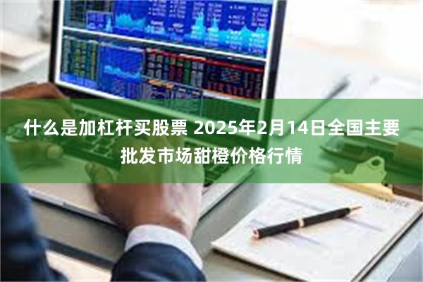 什么是加杠杆买股票 2025年2月14日全国主要批发市场甜橙价格行情